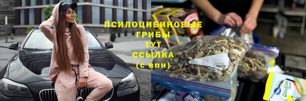 кристаллы Гусев