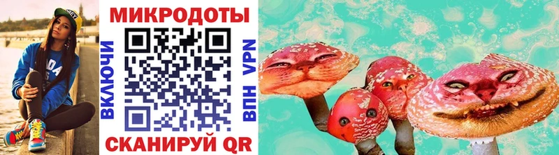 Галлюциногенные грибы Cubensis  Купить где  Кизляр 